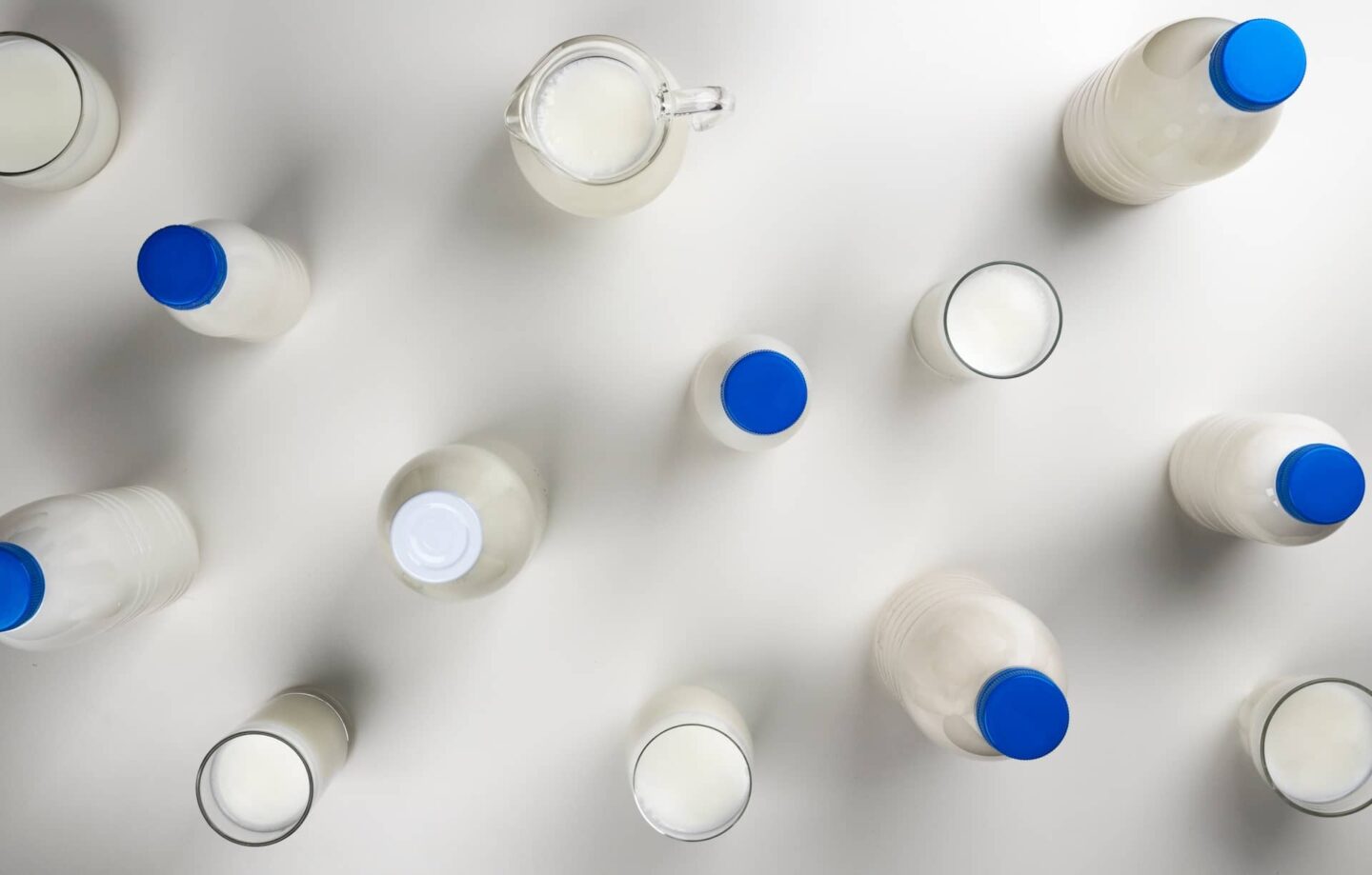 Cultures and Probiotics products
